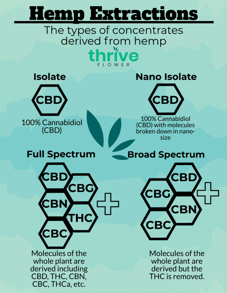 Types of CBD Explained Easy | Thrive Flower | Learn Now