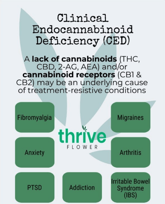 Endocannabinoid Deficiency
