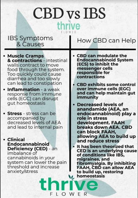 CBD for IBS