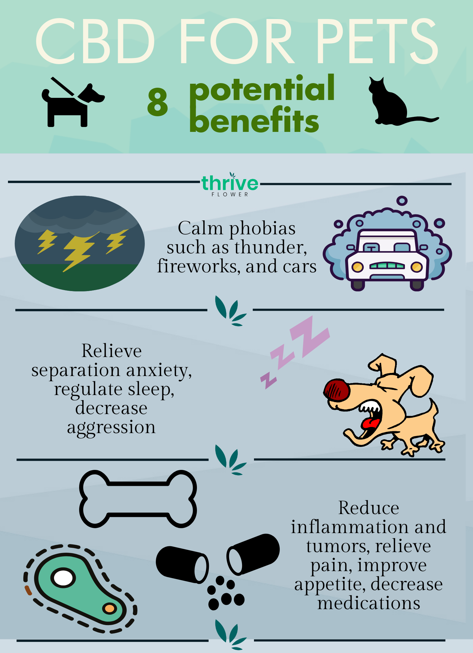8 Reasons Using CBD For Pets is Helpful