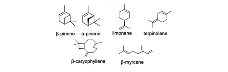 cannabis terpenes