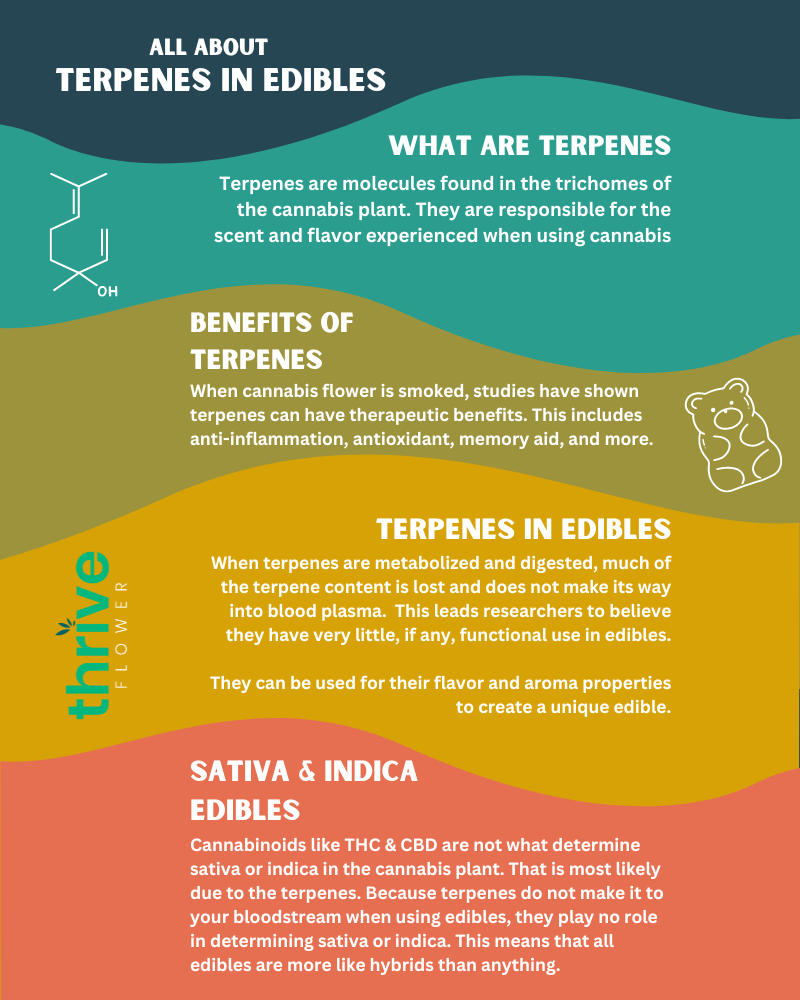 How Do Terpenes Work in Edibles?